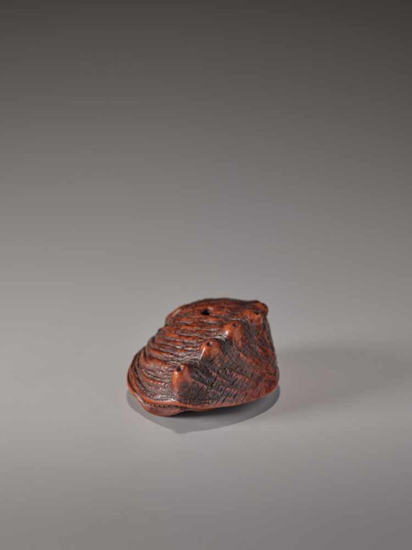 A CHERRY WOOD NETSUKE OF AN AWABI SHELL BY TADATOSHICherry wood netsukeJapan, Nagoyaearly 19th - Image 5 of 7