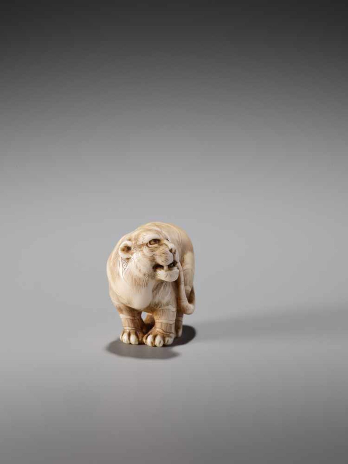 AN EXCELLENT IVORY NETSUKE OF A TIGER SIGNED OKATORIIvory netsukeJapan, Kyoto19th century, Edo - Image 2 of 11