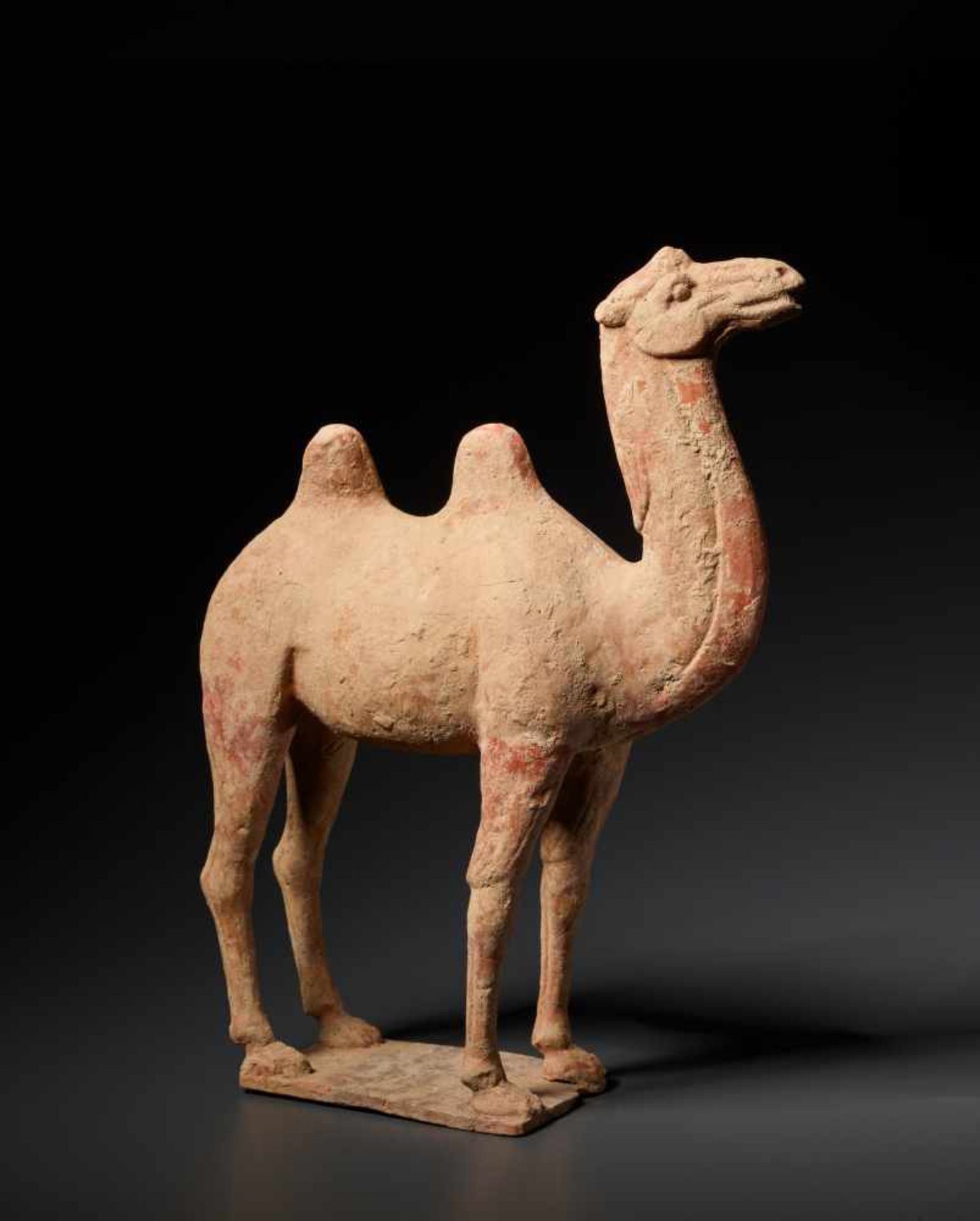 A TERRACOTTA FIGURE OF A CAMEL, TANG DYNASTYFired red terracotta with incised detailsChina, Tang - Image 2 of 6