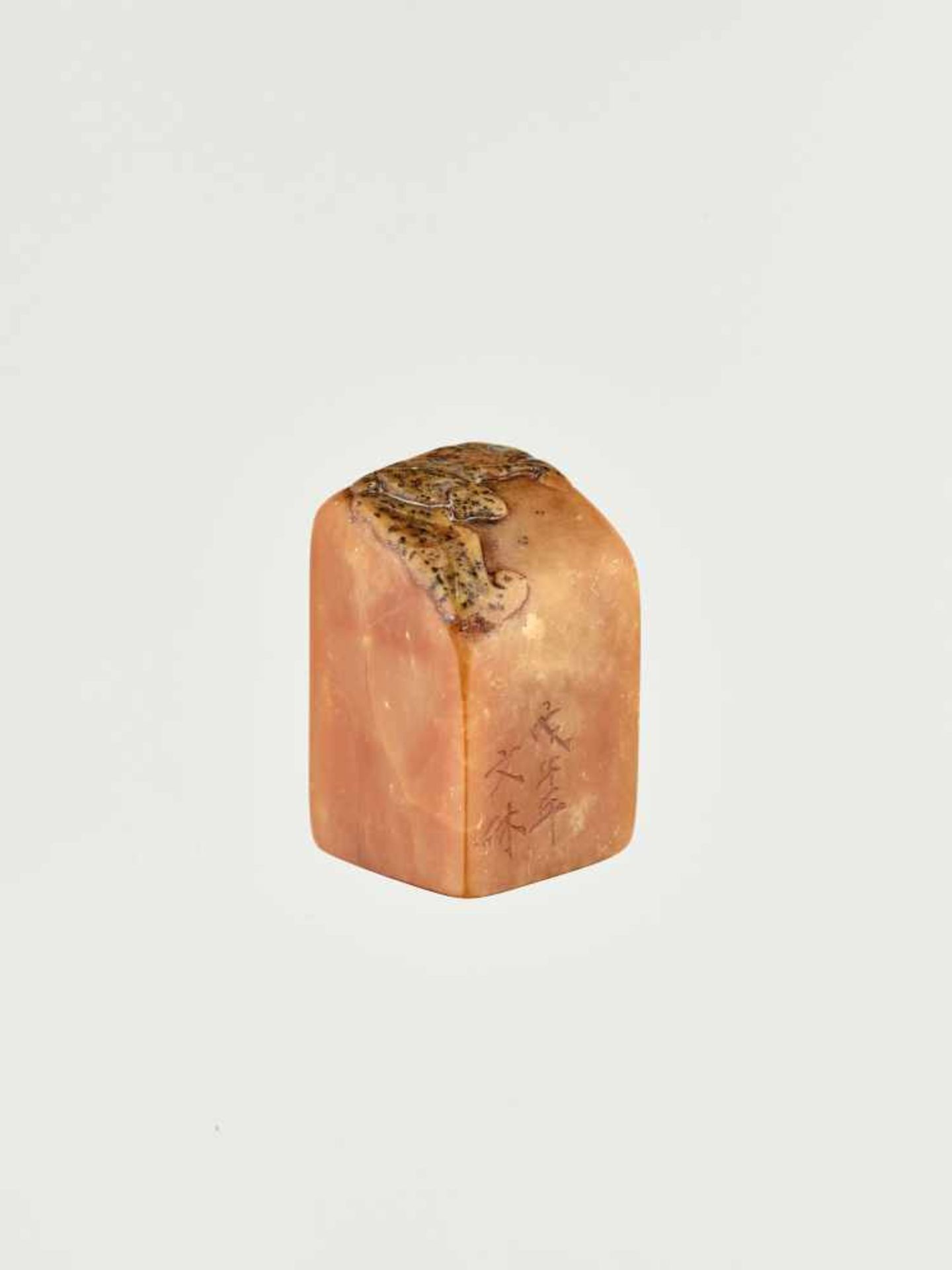 A QINGTIAN SOAPSTONE SEAL WITH BAT, DATED TO THE YEAR WU WUThe stone mottled in hues of honey and