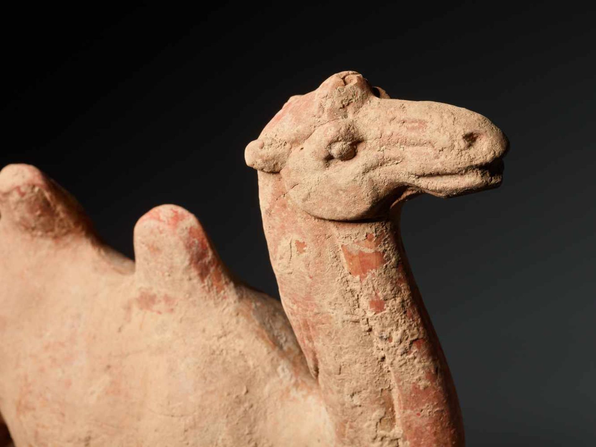 A TERRACOTTA FIGURE OF A CAMEL, TANG DYNASTYFired red terracotta with incised detailsChina, Tang - Image 6 of 6