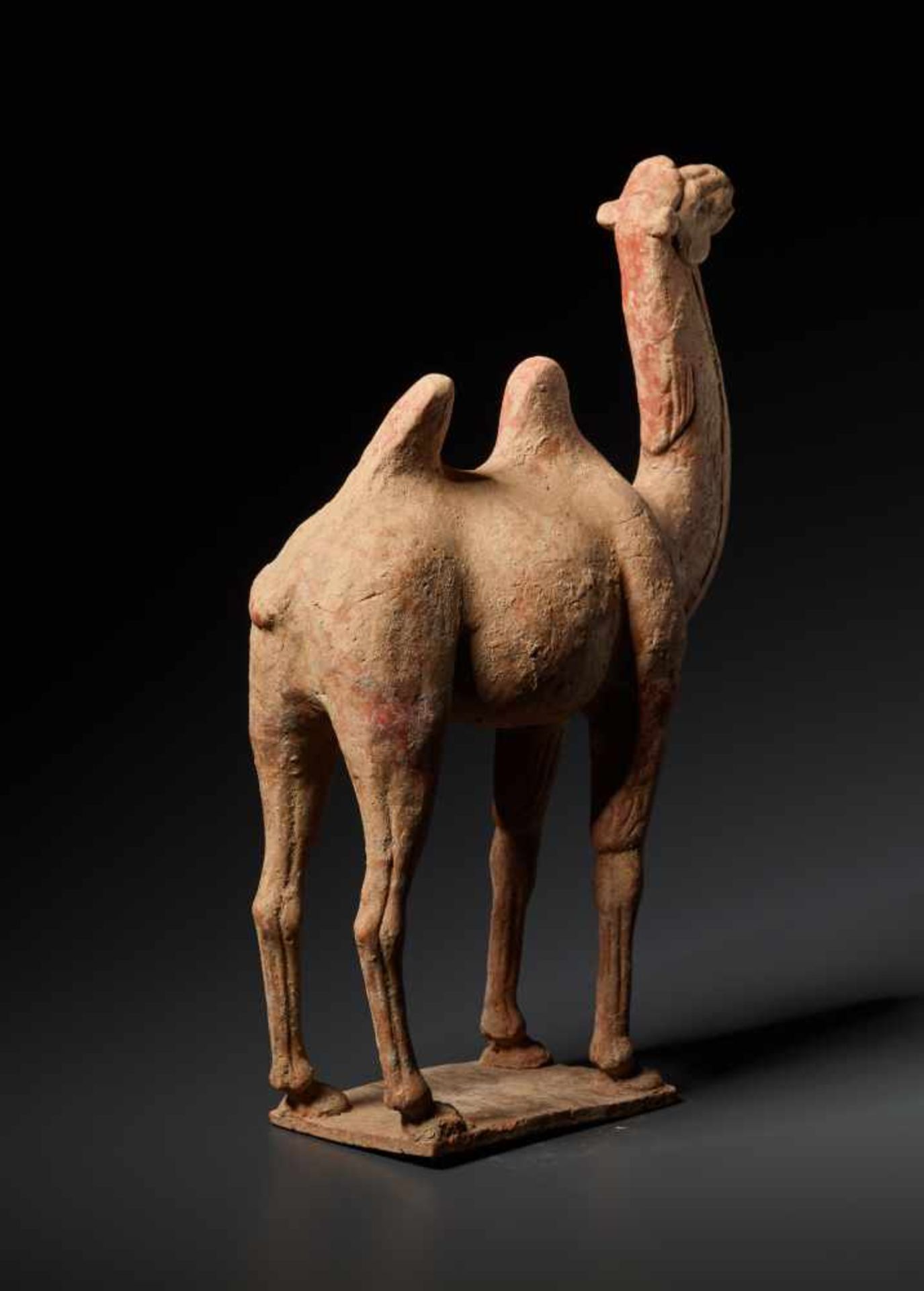 A TERRACOTTA FIGURE OF A CAMEL, TANG DYNASTYFired red terracotta with incised detailsChina, Tang - Image 3 of 6