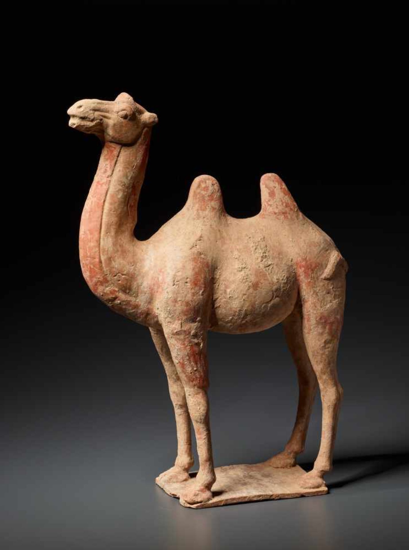 A TERRACOTTA FIGURE OF A CAMEL, TANG DYNASTYFired red terracotta with incised detailsChina, Tang