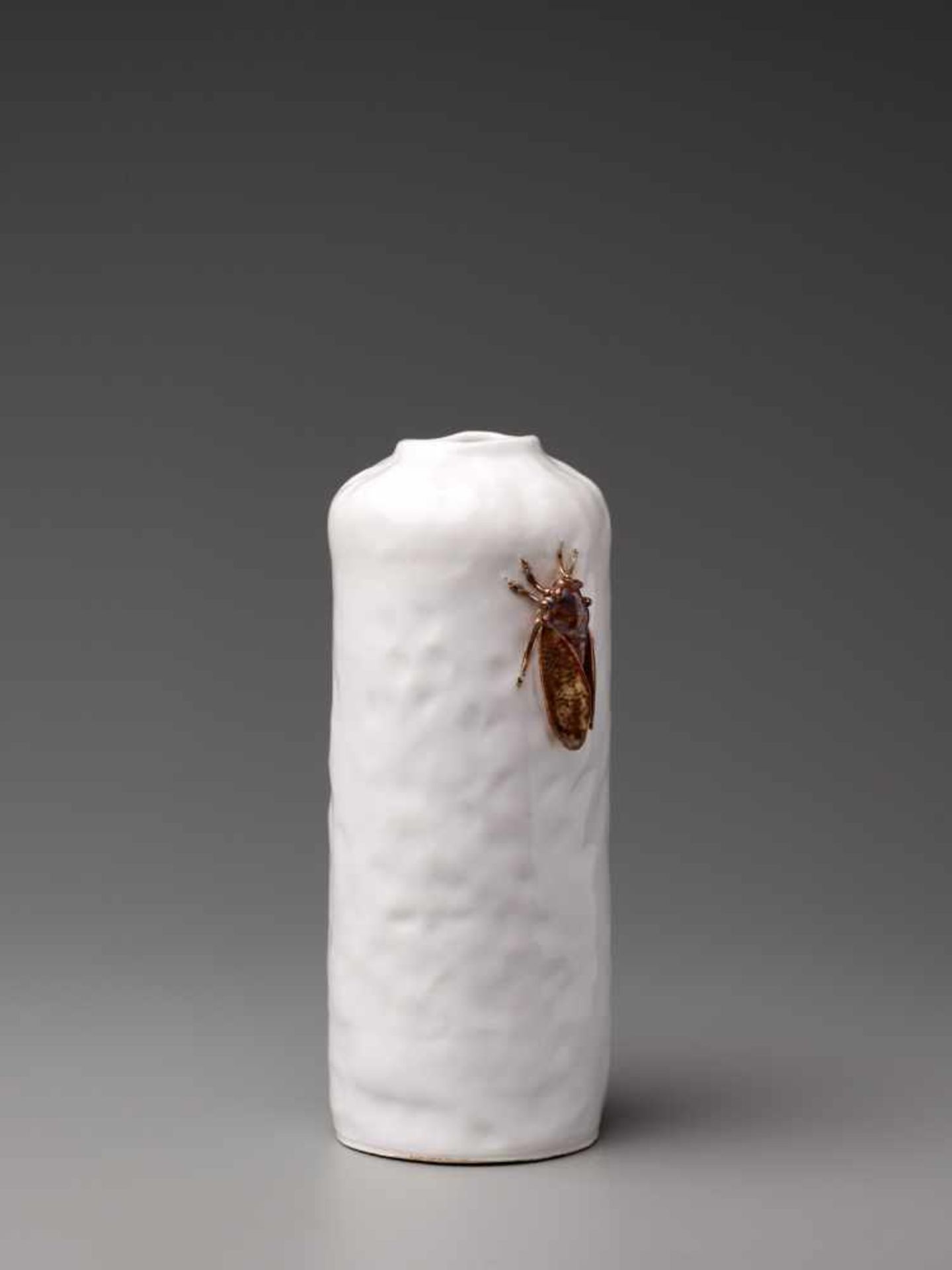 A HIRADO PORCELAIN VASE WITH CICADAPorcelain Japan, late 19th century, Meiji period (1868-1912)The