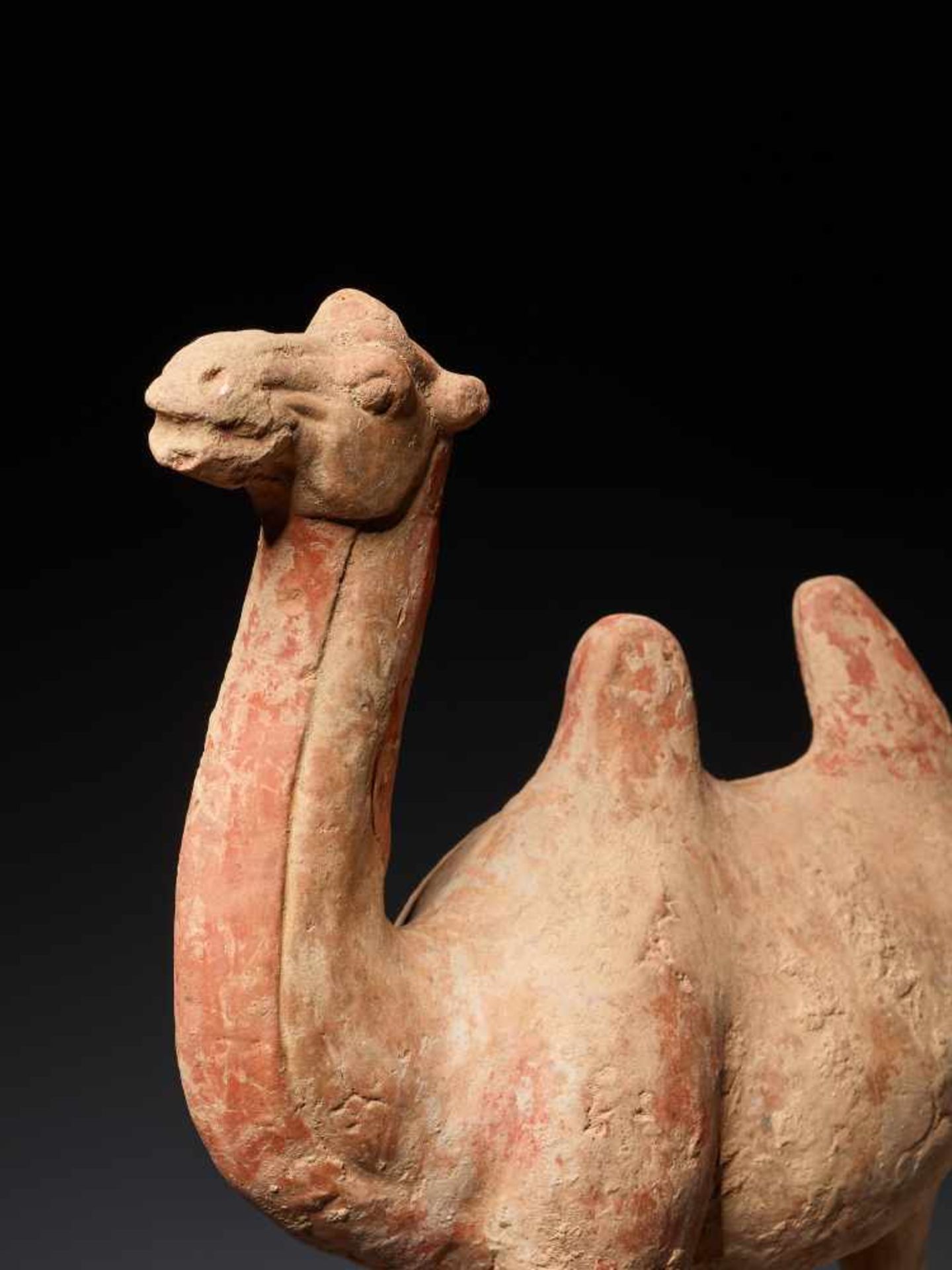 A TERRACOTTA FIGURE OF A CAMEL, TANG DYNASTYFired red terracotta with incised detailsChina, Tang - Image 5 of 6