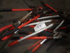 Quantity of various tree loppers