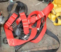 Safety harness