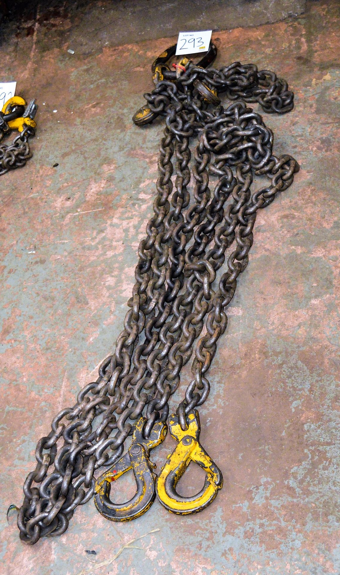 2 leg lifting chain