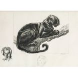 Paul Jouve, 1878 "" 1973 SCHWARZER PANTHER AUF EINEM AST, DANEBEN ADLER. Lithografie. 27,5 x 37,5