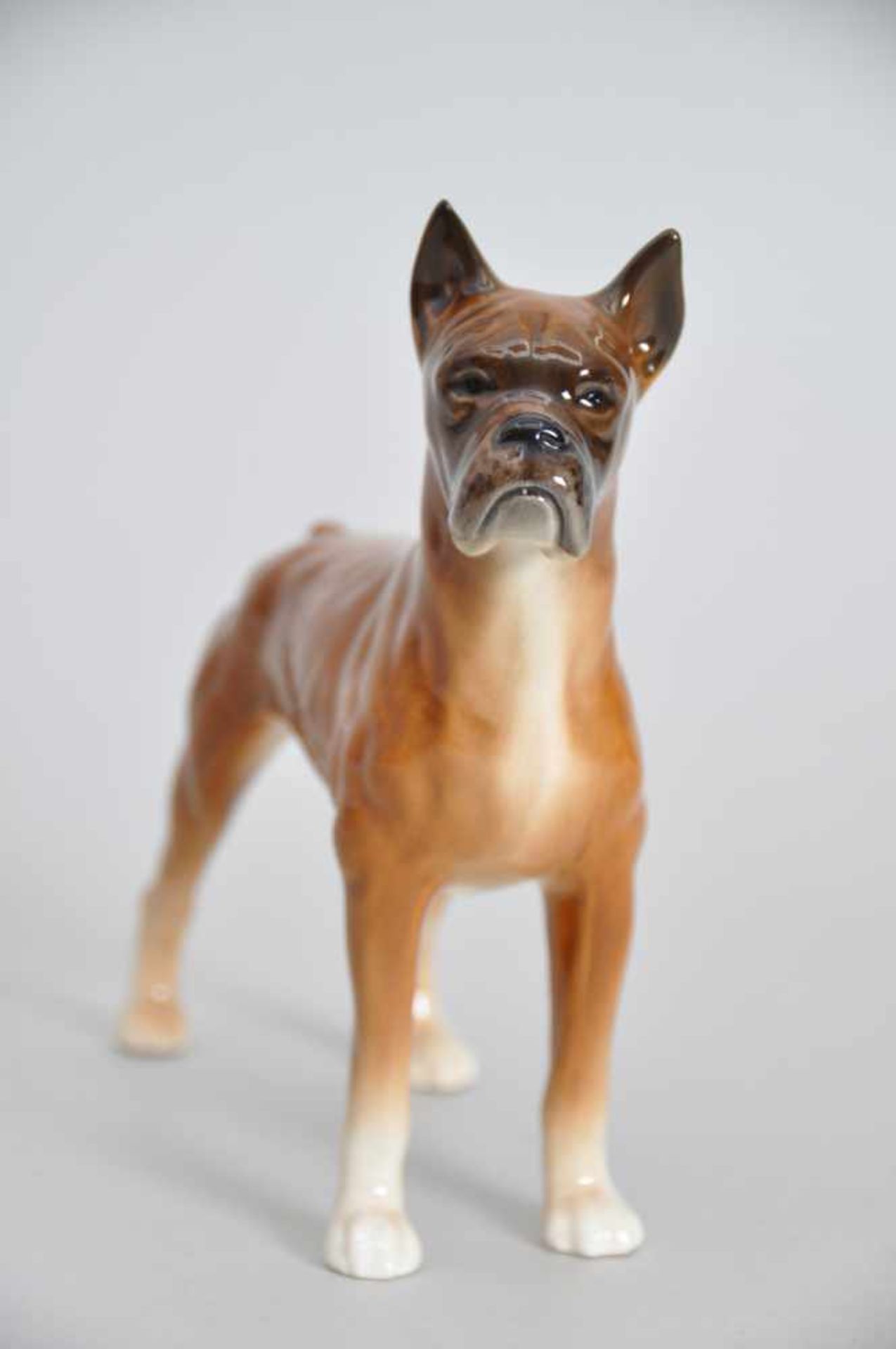 Boxer, Porzellanfigur, polychrom bemalt. Goebel, Modellnummer 3061718, Jahr 1968. Maße ca. 21 x 19 x