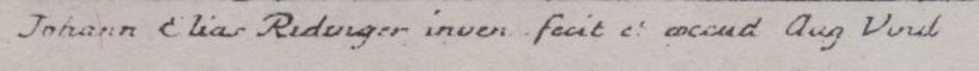 Johann Elias Ridinger ( 1698 in Ulm - 1767 in Augsburg)"Wie das Wild-Schwein gehaezt und ihm der - Bild 4 aus 4