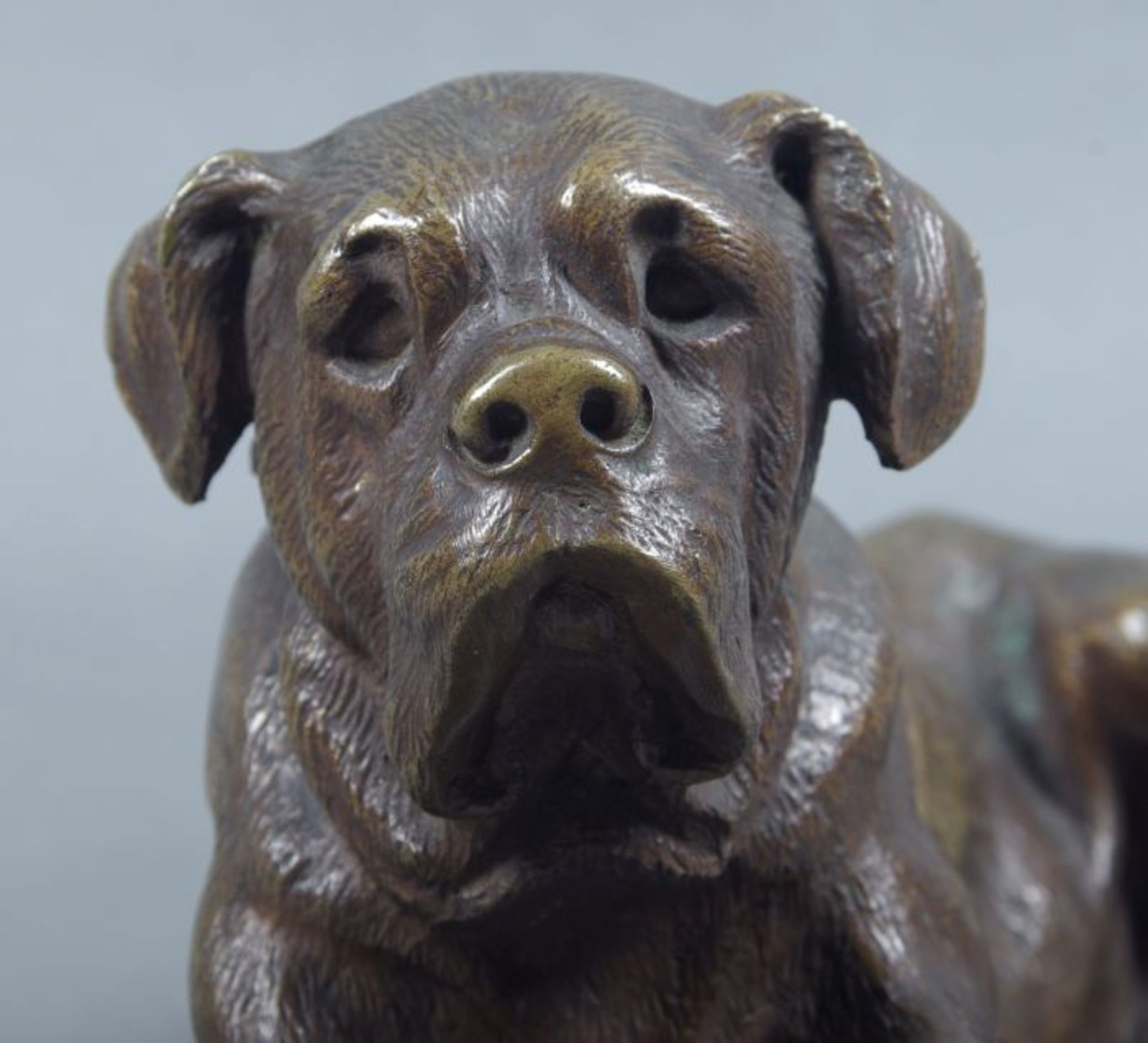 Wohl Charles Mercié Gantrago (in Spanien/Frankreich tätig, 1881/1900)liegender Mastiff, Bronze, - Bild 3 aus 3