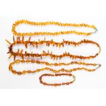 Three amber necklaces,