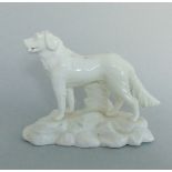 An English porcelain model of a Setter holding a bone in it's mouth Circa 1830 Size 12 cm diam,