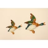 Two Beswick wall plaques in the form of flying mallard ducks,