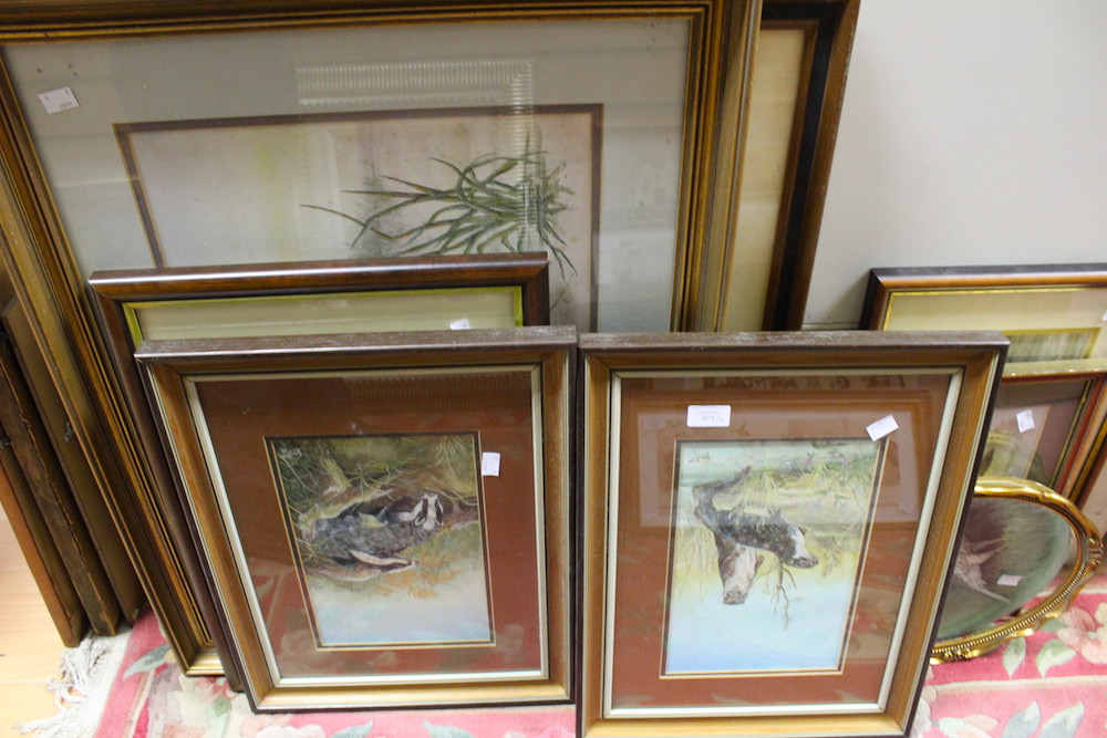 John Straw, watercolours, a box of framed and glazed original paintings,