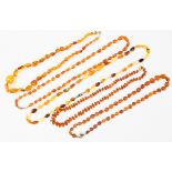 A collection of five amber necklaces in various styles and sizes, a/f on yellow metal clasps,