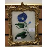 ****Ex Luddington Manor****A 19th Century gilt framed watercolour floral study,