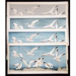 Arthur Rigden Read (1879-1955), Seagulls, four woodblock prints, one signed and numbered pw of 1,