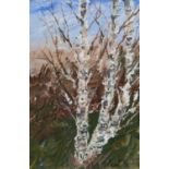 Joyce Reed (20th century), Winter Birches, oil on card, framed and glazed, signed lower right,