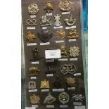 British Army Collar dogs: Infantry pre year 1990. 26 items mounted in a display case.