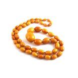 A graduated string of butterscotch amber beads, the largest to centre being approx. 3.2 cm long x