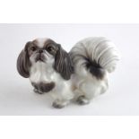 Dahl Jensen Copenhagen porcelain model of a 'Pekingese Dog'. Ref 1339