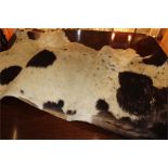 Taxidermy interest. Decorative interior cow hide. Approx 180 x 140 cm