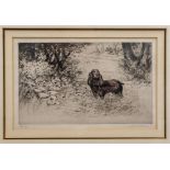 Henry Jackson Simpson (Scottish 1893-1963), Spaniel, etching, signed and inscribed in pencil,