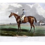 British Sporting Art / Horse Racing / Equestrian Interest: 'Riddlesworth,