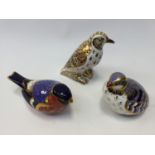 Royal Crown Derby paperweights including Bullfinch, Song Thrush and Red Legged Partridge,