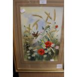 Robin Gibbard (1930-2014) watercolour, butterflies and poppies in a corn field, signed lower right,
