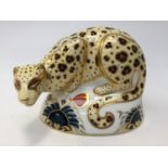 Royal Crown Derby Savannah Leopard Endangered Species Series paperweight,