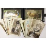 A collection of early 20th century postcards (1 bag)