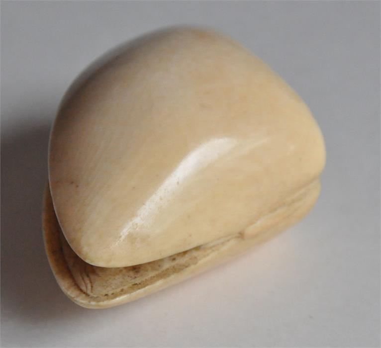 A Japanese Meiji period carved ivory okimono of a mussel, late 19th century, the interior of the - Image 5 of 7