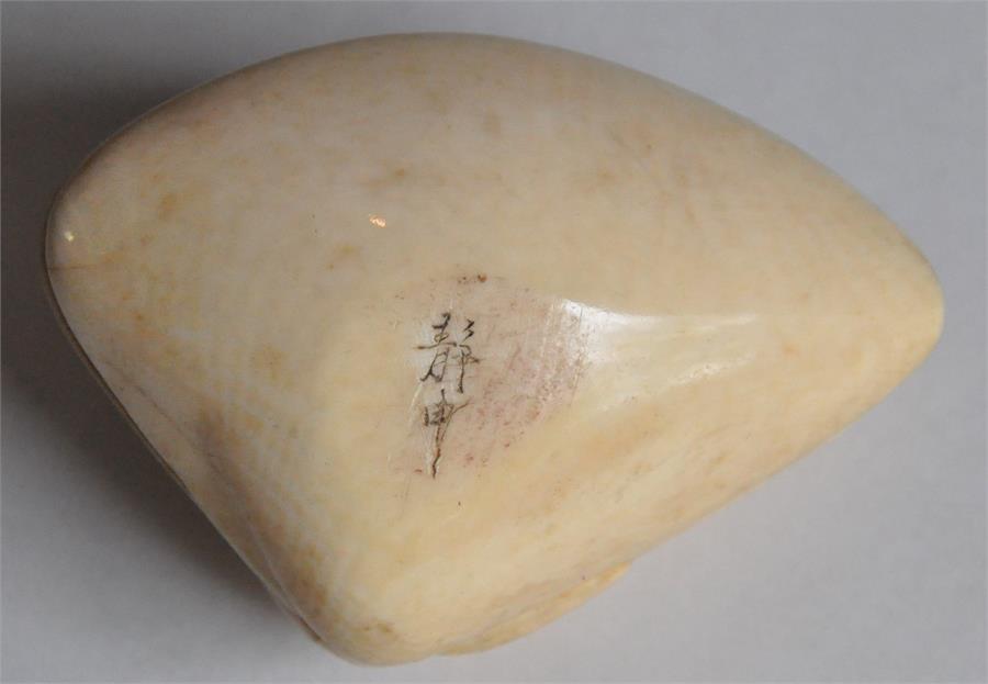 A Japanese Meiji period carved ivory okimono of a mussel, late 19th century, the interior of the - Image 7 of 7