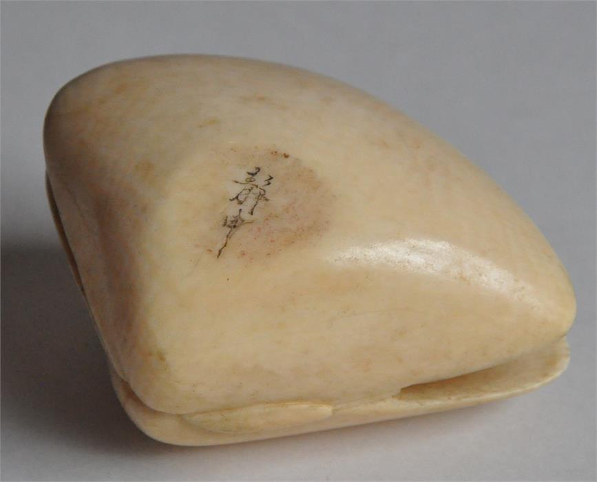 A Japanese Meiji period carved ivory okimono of a mussel, late 19th century, the interior of the - Image 6 of 7