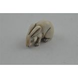 A Japanese Meiji period carved ivory netsuke, of a feeding rabbit, signed, width 4 cm.