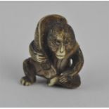 A fine Japanese Meiji period carved ivory netsuke, late 19th century, of a seated monkey wearing