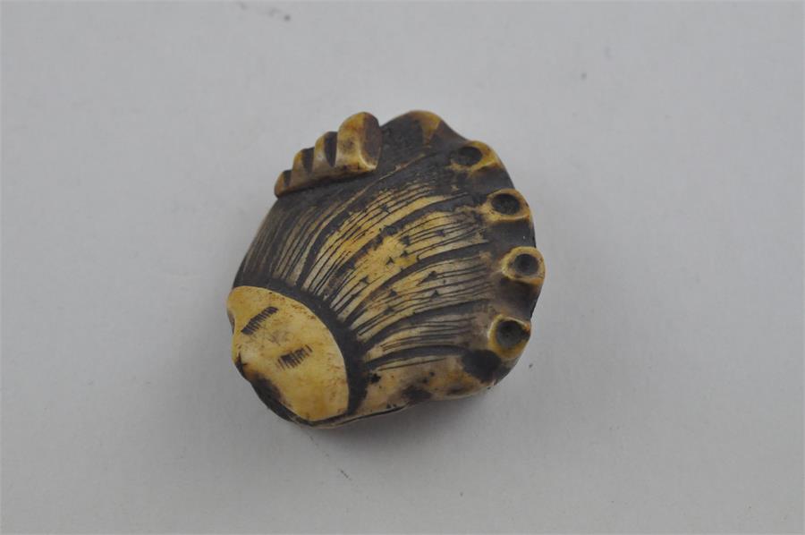 A Japanese Meiji period carved bone netsuke of a clam, length 5 cm.