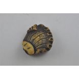 A Japanese Meiji period carved bone netsuke of a clam, length 5 cm.