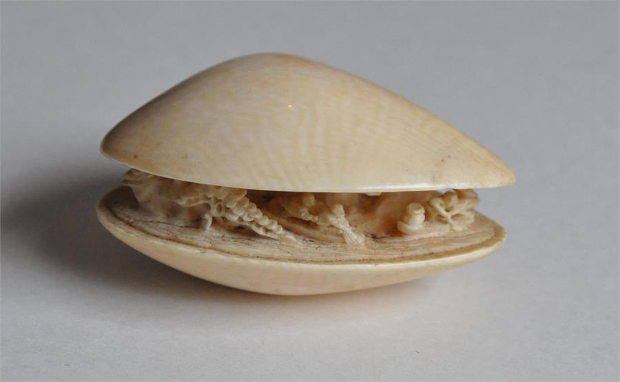 A Japanese Meiji period carved ivory okimono of a mussel, late 19th century, the interior of the