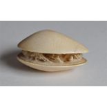 A Japanese Meiji period carved ivory okimono of a mussel, late 19th century, the interior of the