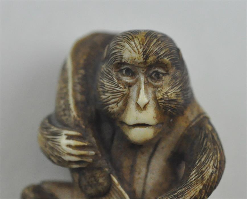 A fine Japanese Meiji period carved ivory netsuke, late 19th century, of a seated monkey wearing - Image 6 of 7