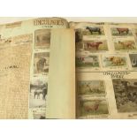 An early 20th Century scrap book containing natural history,