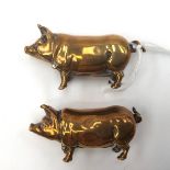 Two novelty cupro-brass vesta cases, in the form of pigs,