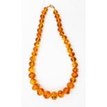 A graduated amber necklace, 67.