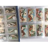 Horse Racing Interest: A collection of cigarette cards,