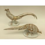 A pair of Continental pheasants,