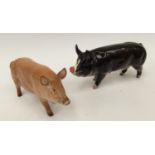 A Beswick Tamworth pig, model 215,